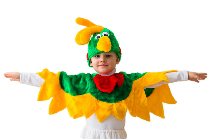 Костюм Попугай 1445 Детский костюм попугая на 5-7 лет, в комплекте: шапочка, воротник с крыльями