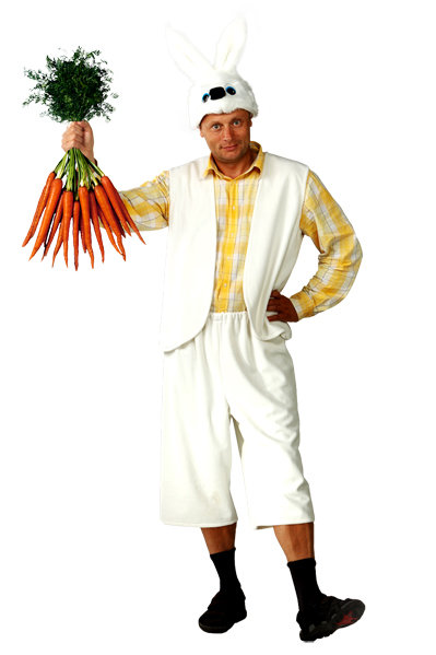 Костюм Заяц 6032 д/взр Мужской карнавальный костюм Зайца, размер 52-54. В комплекте: маска, жилет, шорты