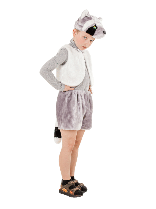 Костюм Енот С1089 Детский костюм Енота для мальчика 4-8 лет. В комплекте: шапочка, жилет и шорты с полосатым хвостом