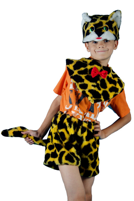 Костюм кот Котик С1009 Детский карнавальный костюм Кот. В комплекте шапка-маска, пелерина, шорты