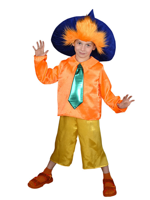 Костюм Незнайка  Детский костюм Незнайки для мальчика 5-7 лет. В комплекте шляпа, галстук, рубаха, штаны