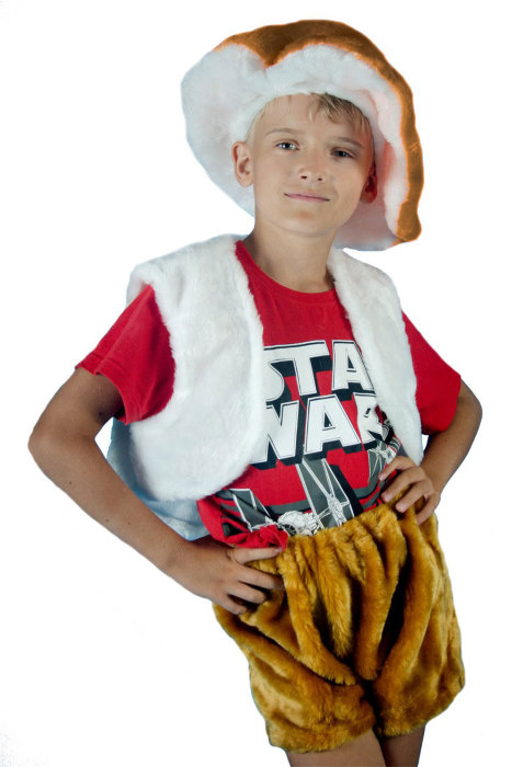 Костюм Гриб С1066 Костюм гриб Боровик для мальчика. В комплекте: шапочка, жилет, шорты. Возможна замена шапочки на оранжевую.